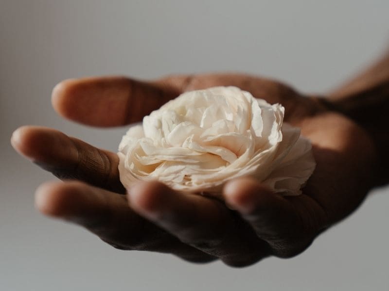 endometriose et intimite sexuelle endométriose et intimité sexuelle
