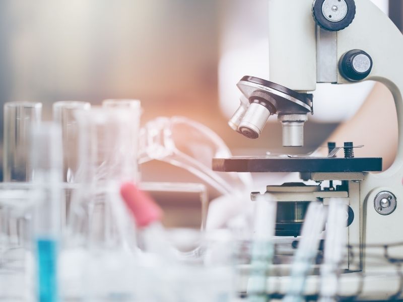 cancer et endometriose etudes cancer et endométriose : les études